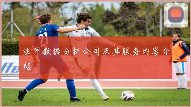 法甲数据分析公司及其服务内容介绍