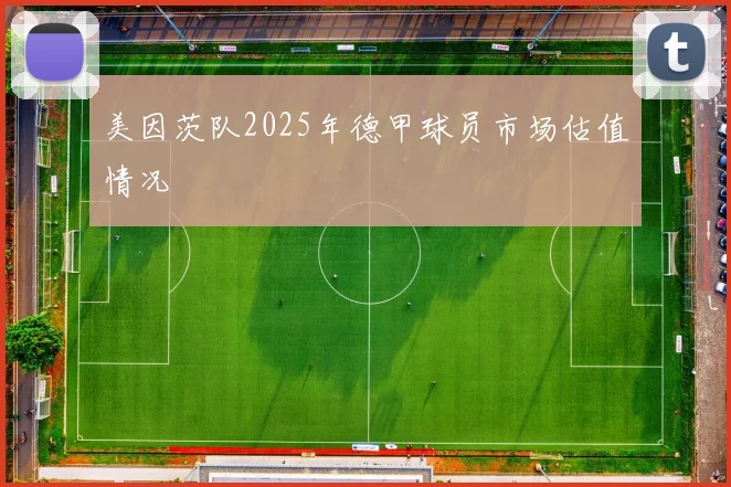 美因茨队2025年德甲球员市场估值情况