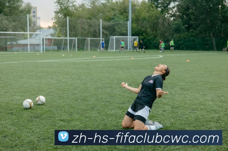 世界杯平台平台生态图